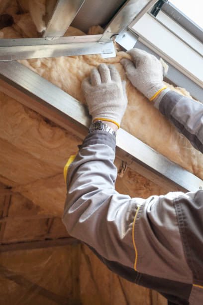 Best Residential Insulation in Williamston, SC