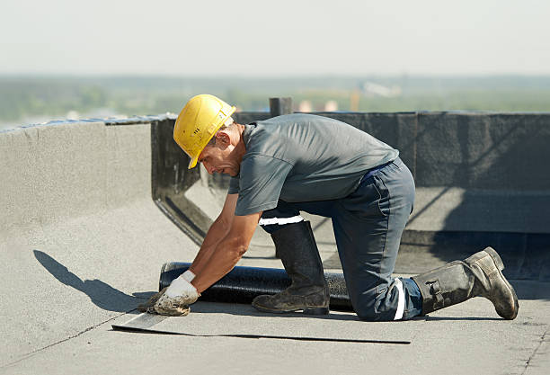 Trusted Williamston, SC Insulation Contractor Experts