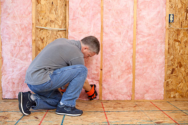 Best Eco-Friendly Insulation in Williamston, SC