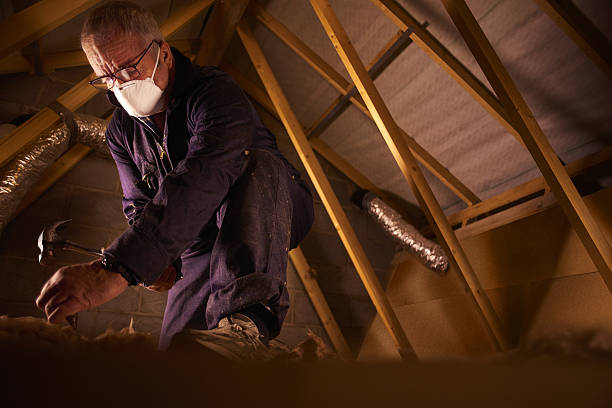 Best Fiberglass Insulation in Williamston, SC